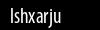 Biztonsági kód