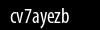 Biztonsági kód