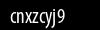 Biztonsági kód