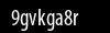 Biztonsági kód